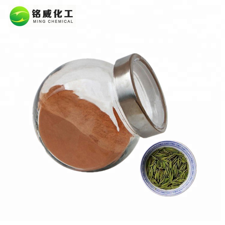 Лучшая цена экстракт зеленого чая полифенолы 10% 20% 40% 50% 70% 90% 98% порошок поставщика