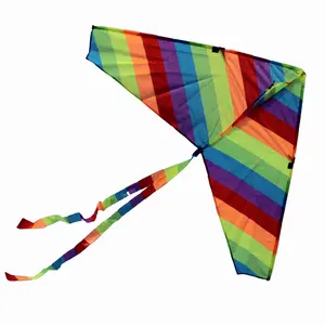 good flying small rainbow delta kite for kids