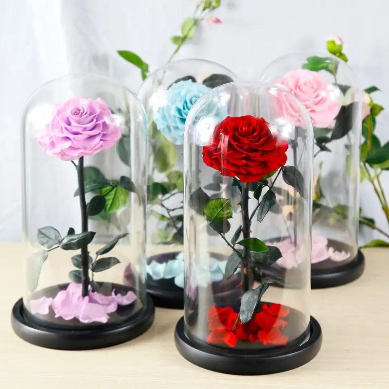 Famous Eternal Rose Preserved Roses Flower in Glass Dome