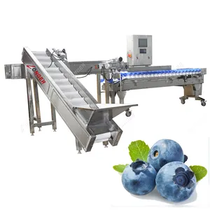 Discounted Price Top Quality Fruit and Vegetable Sorting Machine