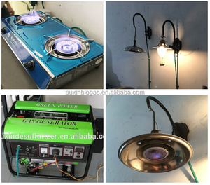 New Energy Chicken Farm Vaca Resíduos e Tratamento Estrume Biogás Power Plant Biogás Digester - Product Image 4