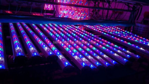 IP65 LED <span class=keywords><strong>Aquarium</strong></span> Fish Tank Éclairage <span class=keywords><strong>Luminaire</strong></span> <span class=keywords><strong>pour</strong></span> le Récif de Corail - Product Image 5