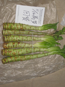 Fresco di Verdure Cinesi Asparagi Lattuga E Colza In Vendita a Caldo - Product Image 3