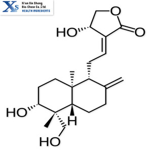 Haute Qualité GMP Casher Naturel <span class=keywords><strong>Andrographis</strong></span> <span class=keywords><strong>paniculata</strong></span> Extrait Andrographolides 98% - Product Image 2