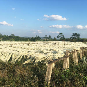 Natürliche Sisal faser für Gipsputz und Decke Gute Qualität China Lieferant