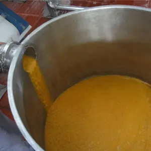 Hot koop mango concentraat productie plant lijn uit China