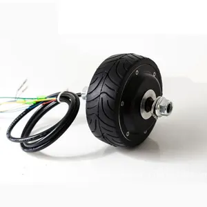 Motor Chinese Manufacturer 24 Volt Dc Motor 3N.m 100W With Built-in 2014 Line 4 Inch Electric Motor Hub For AGC Robot