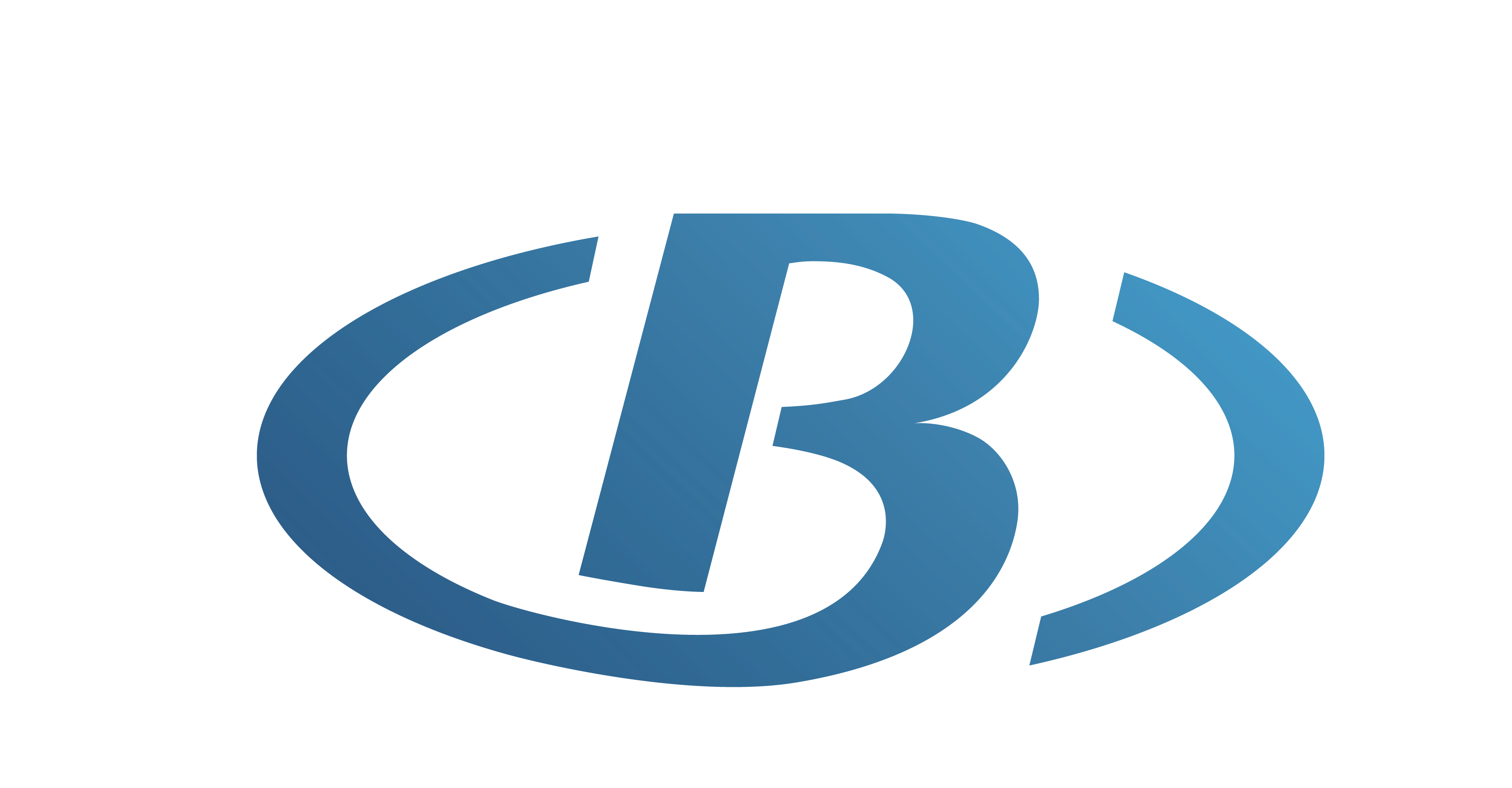 Bingyi Industrial (shanghai) Co., Ltd. logo