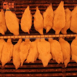 Buena calidad gallinero de pollo agricultura sistema de alimentación para pollos de engorde criador <span class=keywords><strong>gallinas</strong></span> - Product Image 5