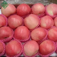 Свежие яблоки fuji, экспорт в США, свежие яблоки qinguan