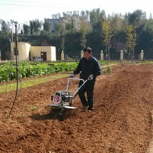 2015 nom de Tennma VG le plus récent mini machines agricoles bineuse motoculteur - Product Image 2