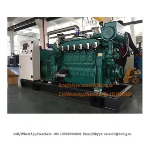 50 HZ 60 HZ 10kw aan 1000kw aardgas generator prijs