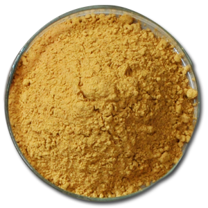 Kostenlose proben lotusblatt-extrakt nuciferin, 1% 2% nuciferin pulver lotusblatt extrakt lieferant - Product Image 5