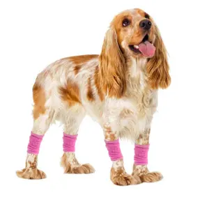 4 adet Pet köpek dirsek bacak diz bandı koruyucu destek Pad bacak cerrahi yara Brace koruyucu sevimli köpek çocuk tüp çorap