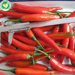 Wholesale Hot Pepper Frozen Red Chilli