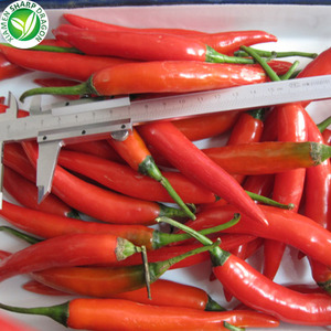 Wholesale Hot Pepper Frozen Red Chilli