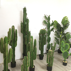 Muilti Phong Cách Nhân Tạo Mọng Nước Cây Nhựa Cây Xương Rồng Nhân Tạo Xương Rồng Với Nồi - Product Image 2