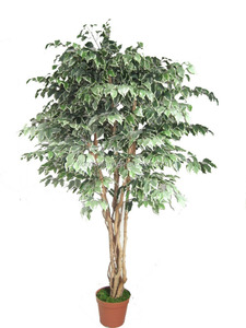Verde Artificial banyan ficus árboles bonsai planta venta mini durable topiary árbol de higuera de interior - Product Image 5