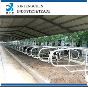 dairy cattle housing design