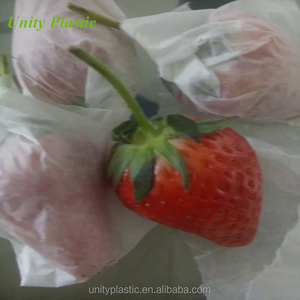 Biodegradabile frutta sacchetto di rete di protezione con il campione gratuito - Product Image 2
