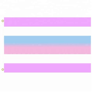 Symbole de transgenre pour lesbiennes Gay, 3x5, drapeau de cheveux naturels, œillets de 3 pouces - Product Image 4