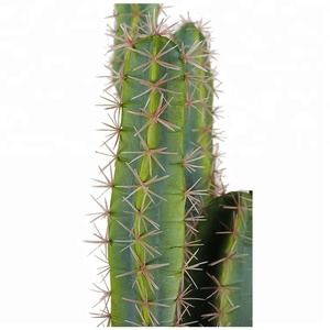 Factory Direct Sale 147センチメートルGolden Barrel Cactus Giant Plastic Cactus Large Cactus
