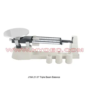 Triple Beam Balance for Physics Education