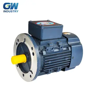 GW de alta eficiencia tres fase YSJ7114-1HS motor de bomba de 0.25KW 220V/380V