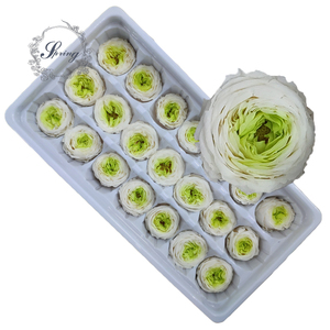 Suministro de fábrica de alta calidad 2-3 cm conservado Austin <span class=keywords><strong>mini</strong></span> Rose para caja de <span class=keywords><strong>rosas</strong></span>, cúpula de cristal de <span class=keywords><strong>rosas</strong></span> - Product Image 6
