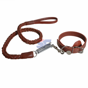 Correa trenzada para perro, cuerda de escalada de fábrica, correa para perro - Product Image 3