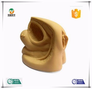 مصنع المخرج الإناث سيكسويل جهاز قسطرة محاكي - Product Image 2