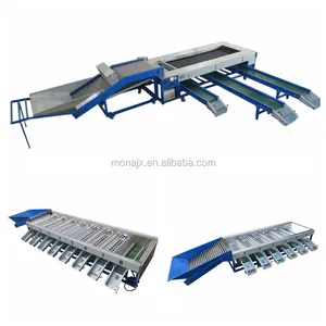 Cheap avocado cleaning and grading machine/fruit classifier/electronic fruit sort machine