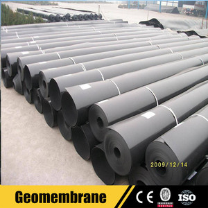 Tilapia Màng Địa Kỹ Thuật Nuôi Cá Tấm Nhựa HDPE Lót AO Dày 1Mm CuộN Trung Quốc Nhà Sản Xuất 13 Năm - Product Image 4