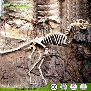 דינוזאור מאובנים העתק תלוי על רוק עבור משחקים קישוט