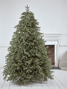 Xmas <strong>Tree</strong> Party Home Decorations Pre-lit Led Light 6ft 7 ft 8ft <strong>10ft</strong> Outside Customized Design <strong>Christmas</strong> <strong>Tree</strong> Decoration - Product Image 5