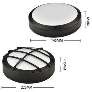 Plafond Mount Schot Led Licht Ovale Ronde Vierkante Outdoor Led Plafondlamp