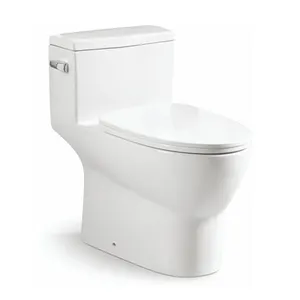 Toilette di un pezzo <span class=keywords><strong>wc</strong></span> sedile del water indiani indiani pan - Product Image 1