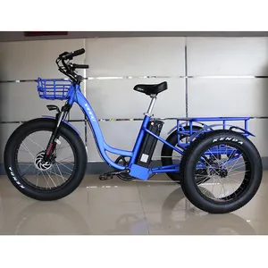 48v 500w 750w Front Drive Motor 13 Ah Lithium Battery Powered 3 Wheel Cargo Electric Bike 3 Wheel Tricycle