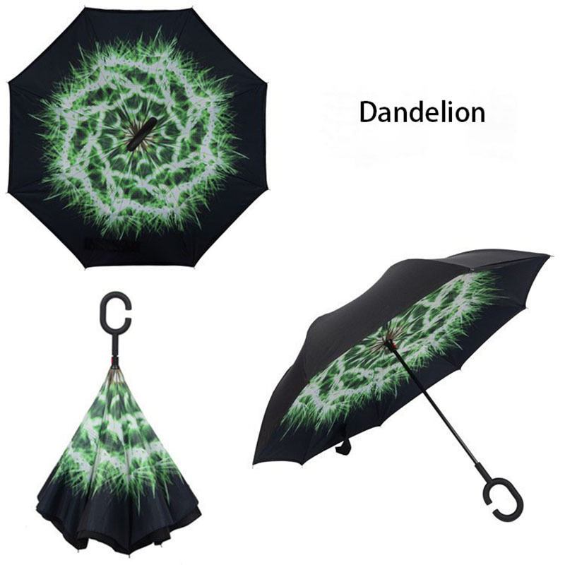 dandelion