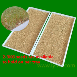 plateau en plastique pour l'agriculture, la germination des graines - Product Image 4