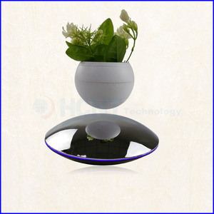 Levitando bonsai árbol de aire interior con plantas verdes - Product Image 1