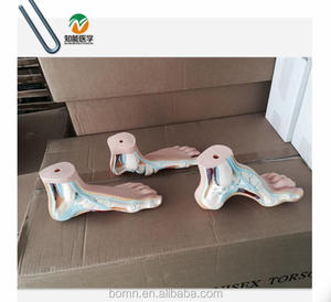 Santé des pieds et pieds anormaux (pieds normaux, pieds plats, pieds arqués) - Product Image 3