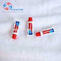 Dentifrice d'hôtel 5 grammes, écologique, biodégradable, à l'essence d'herbes, logo personnalisable