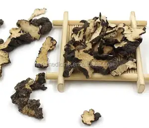 Fungo Naturale Essiccato Zhu <span class=keywords><strong>Ling</strong></span>, Polyporus Umbellatus Intero, Polipore Ombrello, Fungo a Forma di Braccio Come Alimento - Product Image 1