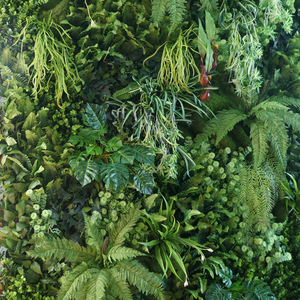 Paneles de Pared Vegetal Artificiales de Estilo Escandinavo, Decoración Ecológica para Jardín Vertical, Paneles de Plástico para Pared Vegetal - Product Image 3