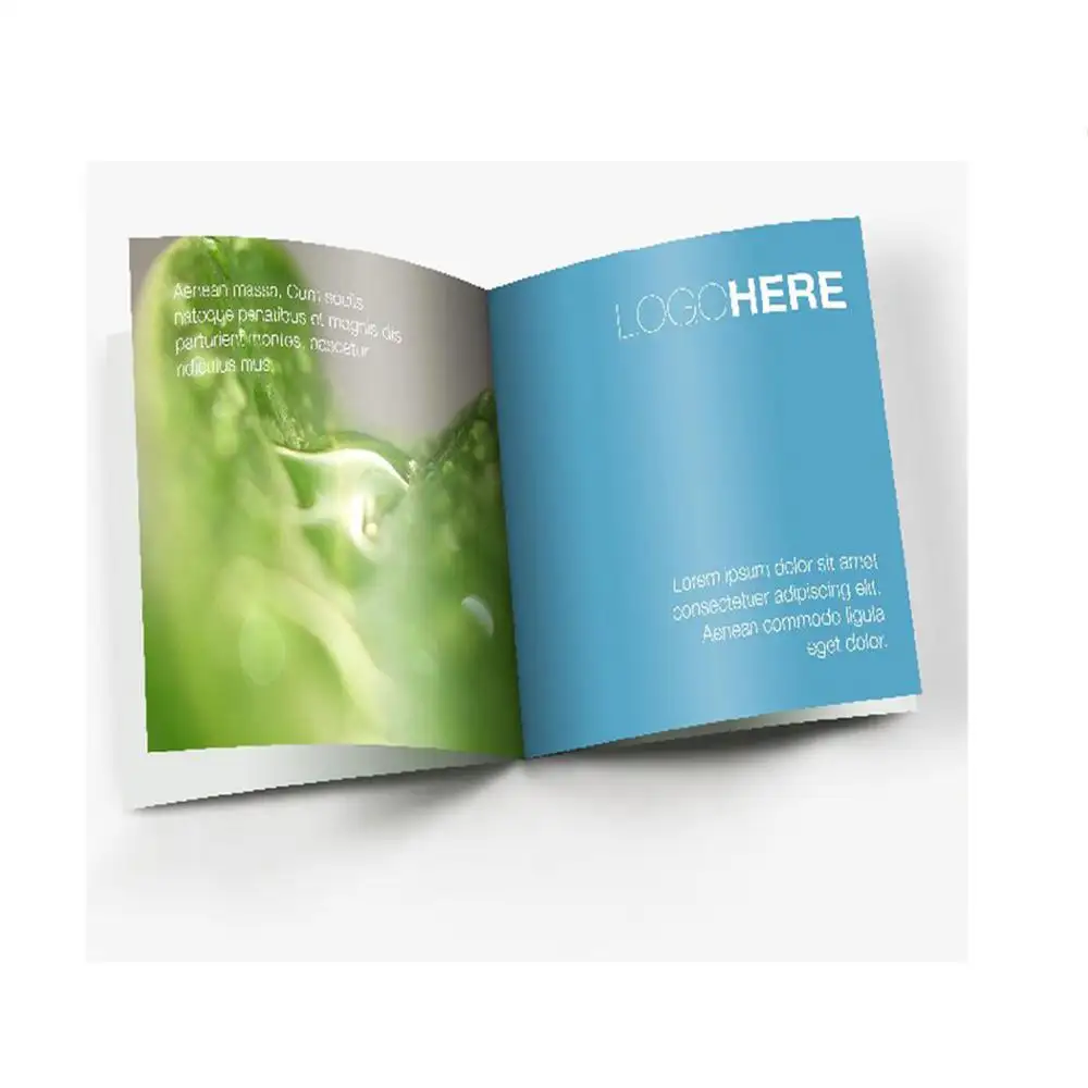 Impreso personalizado promoción Flyer/prospecto/catálogo/folleto de impresión de folleto servicio de impresión de folleto
