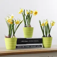 Shininglife Merk Chinese Simulatie Daffodil Set Kunstmatige Ingemaakte Narcissen Voor Landschap Decoratie