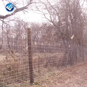 hot dipped galvanized farm fence wire /farming fencing wire mesh