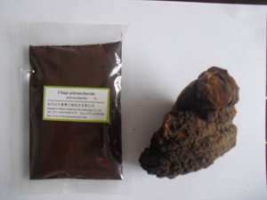 Экстракт грибов - Product Image 4