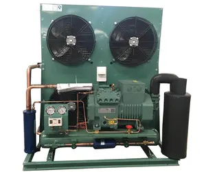 Unidad condensadora de compresor de refrigeración, habitación fría, 12P